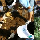 아침고요푸른마을 이미지