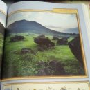 한국사 속 숨겨진 비밀 이미지