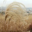 화서공원 이미지