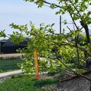 노양2리마을회관 이미지