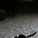 CU신안자은점 이미지