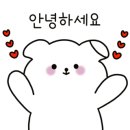 경주손세차Hcar광택 이미지