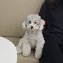 멍박스 이미지