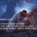 원대로-6 네이버블로그