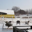 세종승마클럽 이미지