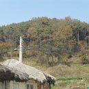 예성농장 이미지