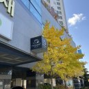 무주읍226 네이버블로그