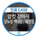 서울동물의료센터 이미지