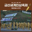 고려한약도매약업사 | 충남 금산 9월 축제 2025 금산세계인삼축제 정보 및 방문 후기