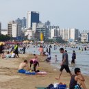 포항 이미지
