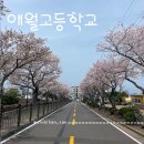 CU(벚꽃점) 이미지