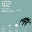 알러지케어이불 클래식패브릭 크림컬러 호텔이불 구입후기