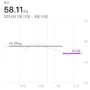8월 上