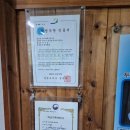 웰빙즉석손두부 | [강원 양구] 아이와 부모님 모두 만족하는 양구손두부 본점 주문 꿀팁