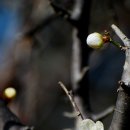 달아공원 이미지