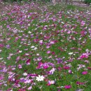 서귀포시동부도서관 이미지