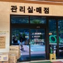 골드문 - 삼척시 척주로 6 | 가평펜션 야외수영장 자쿠지가 있는 골드문풀빌라글램핑 솔직후기