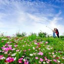 광흥건설(주) 이미지