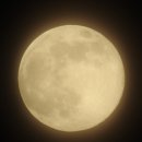 moon 🌕🌛 이미지