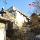 덕진-100 이미지