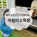 미소목장 | 제주도 공항 인근 아이랑 함께 가면 좋은 이색 체험 카페 추천 아침 미소 목장 후기