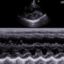 샤인고양이메디컬센터 이미지