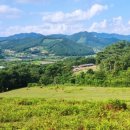 초원목장 이미지