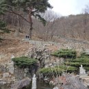 태극환경 | 대구점집,태극신당후기들려드릴게요