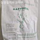 정영철피부과의원 이미지