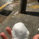 예림장 네이버블로그