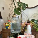 아브뉴프랑 퍼플 이미지