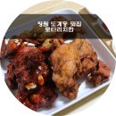 창원 도계동 맛집 로타리치킨상회 양이 혜자로워