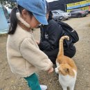 지패밀리 | 아이와 함께 가족 모두 낚시체험![패밀리야외낚사카페 놀러와실내낚시터 본점] 후기!