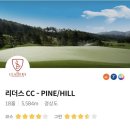 리더스스크린골프 네이버블로그