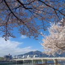 강변로(남천) 이미지