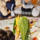 푸르지오숲 어린이집[아이행복] | [아이체험] 아이와 자연과 소통하는 시간, 가을 숲체험 생태수업 후기