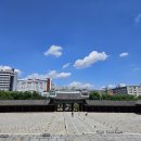 23.6월 일상 모음 / 우래옥 평양냉면, 창경궁 탐방, 여름맞이 침구 교체, 범죄도시3, 엘리멘탈, 연남동...
