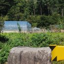 치악산둘레길 4코스 노구소길 이미지