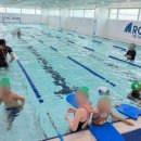 로얄마린 민락점 이미지