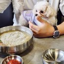 꽃나래 꽃디자인 | 태화강 파스타 코지하우스 내돈내산 울산 동구 애견동반 식당 삼복면옥 후기 일상들