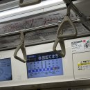 [도쿄일상] 면접, 재외선거, 한국 일상