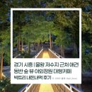 빅토리애견 | 경기 시흥 | 물왕 저수지 근처 애견 동반 숲 뷰 야외정원 대형카페 빅트리 내돈내먹 후기