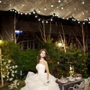 뉴피앙세 이미지