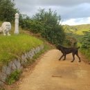 대복농장 이미지