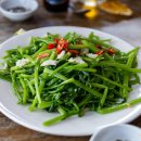 모닝글로리 이미지