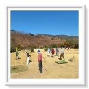 의령남강 | 의령이솔파크골프장 원정후기●김해원파크