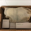 월정에비뉴풀빌라 이미지