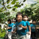 석호농장 이미지