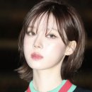 구찌헤어 네이버블로그