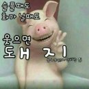 웃자웃자 이미지